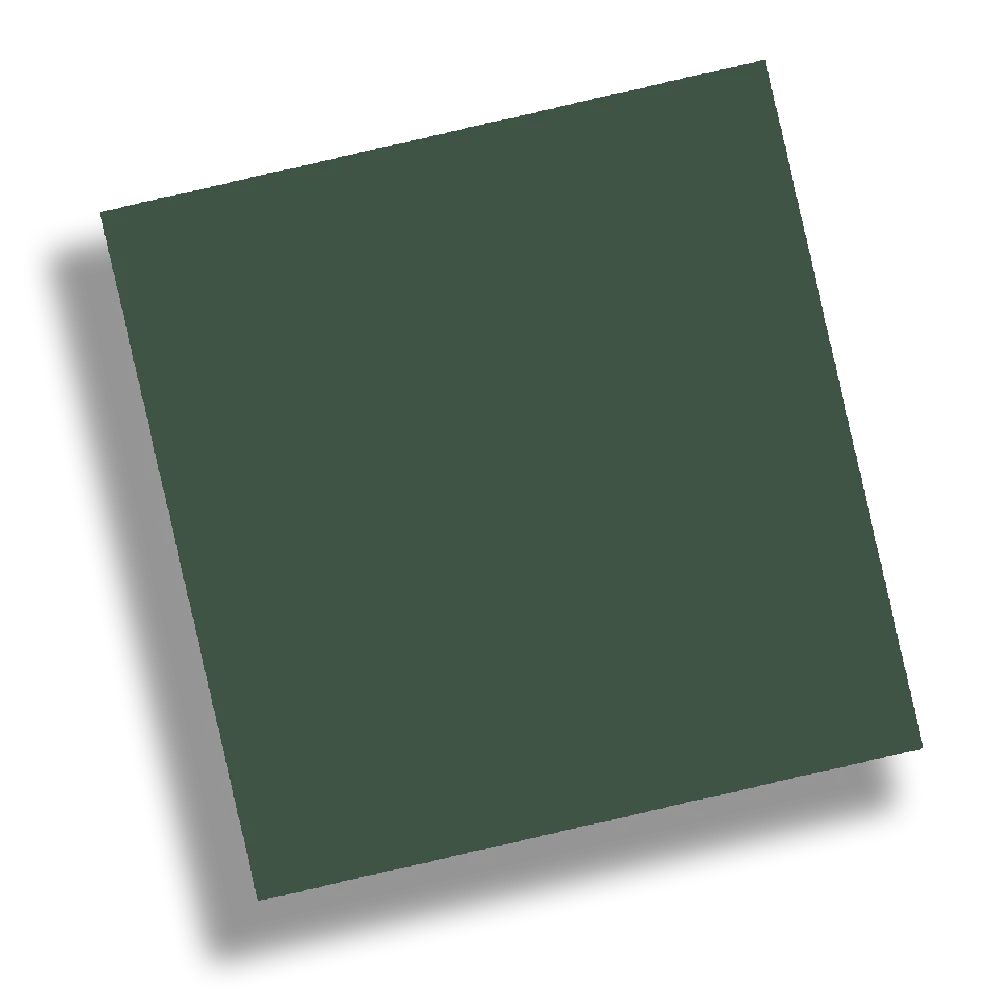 Canopy Patch - Image 14